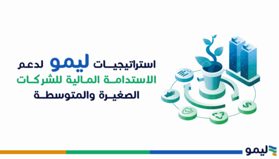 استراتيجيات ليمو للاستدامة المالية