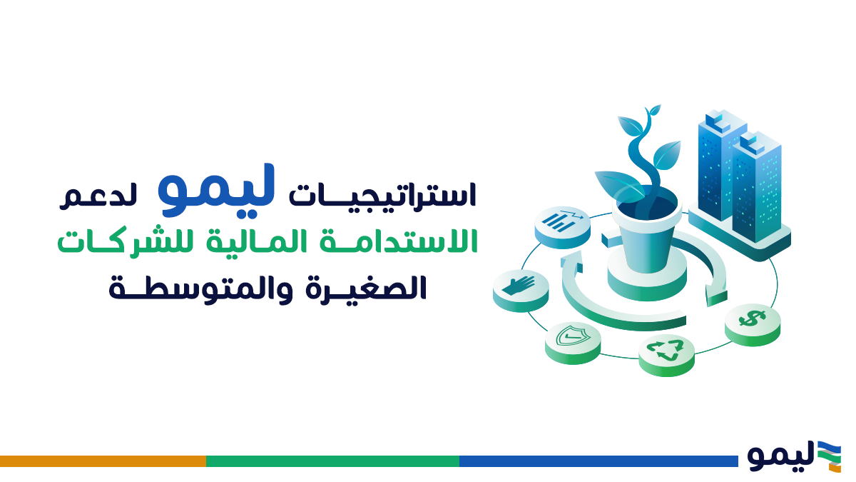 استراتيجيات ليمو للاستدامة المالية